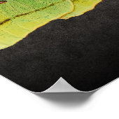 ルナモスの黒塗り鮮やかのアートワーク ポスター (角)