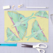 ルナモスオンイエロ 薄葉紙 (クラフト)