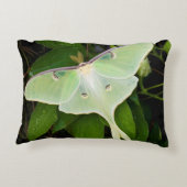 ルナモスオンカーナビクレマティス アクセントクッション (裏面)