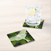 ルナモスオンカーナビクレマティス スクエアペーパーコースター (インサイチュ)