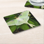 ルナモスオンカーナビクレマティス スクエアペーパーコースター (アングル)