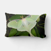 ルナモスオンカーナビクレマティス ランバークッション (裏面)