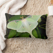 ルナモスオンカーナビクレマティス ランバークッション (ブランケット)