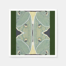 ルナモスデジタ絵画ル