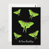 ルナモスマンガイラストレーション ポストカード (正面/裏面)