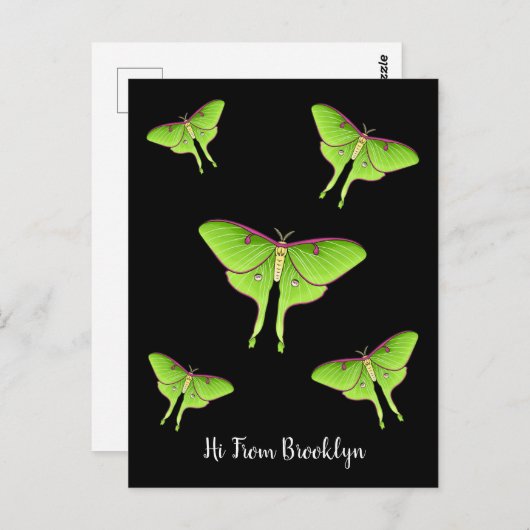 ルナモスマンガイラストレーション ポストカード (正面/裏面)