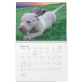 ルナ救われた断念された小犬 カレンダー (2月 2027)