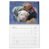 ルナ救われた断念された小犬 カレンダー (1月 2027)