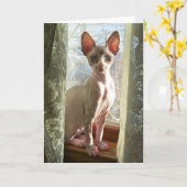 ルナ カード (黄色い花)