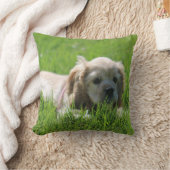 ルナ クッション (ブランケット)