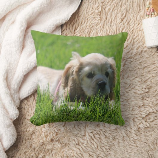 ルナ クッション (ブランケット)