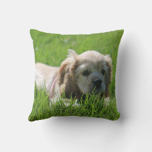 ルナ クッション (裏面)