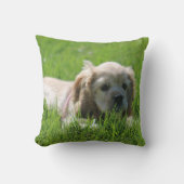 ルナ クッション (正面)