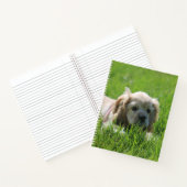 ルナ ノートブック (内部)