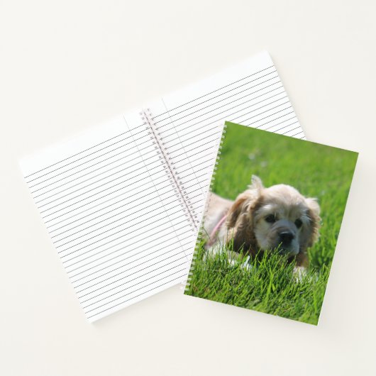 ルナ ノートブック (内部)