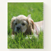 ルナ ノートブック (裏面)