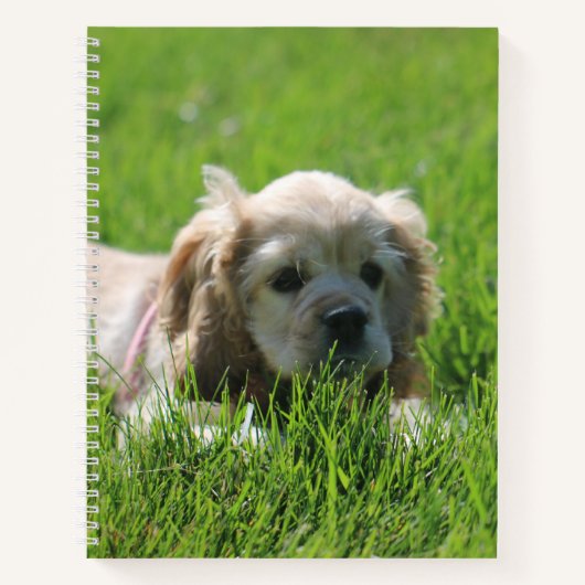 ルナ ノートブック (正面)