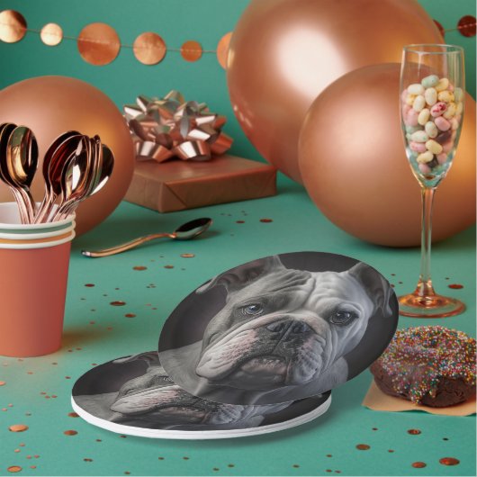 ルナ ペーパープレート (複数)