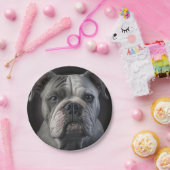 ルナ ペーパープレート (パーティー)