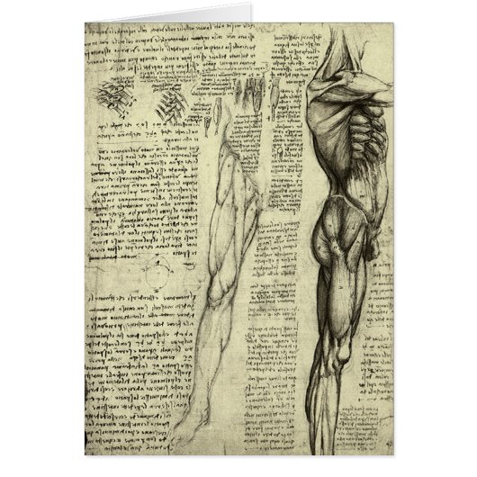 ルネサンス期の巨匠、レオナルド・ダ・ヴィンチによる『人体解剖図』－男性の筋肉図 (正面)