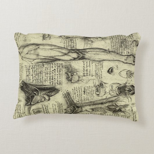 ルネサンス期の巨匠 レオナルド・ダ・ヴィンチ ヴィンテージ 人体解剖図 喉頭 下肢 アクセントクッション (裏面)