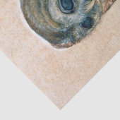 ルネッサンスの動物スケッチ/ザフクロウ 薄葉紙 (詳細)