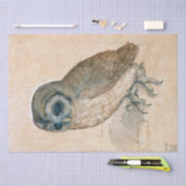 ルネッサンスの動物スケッチ/ザフクロウ 薄葉紙 (クラフト)