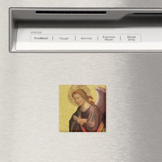 ルネッサンスエンジェルバイザバンビノヴィスポマスター マグネット (インサイチュ (食洗機))