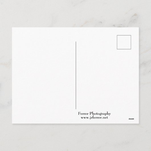 ルネッサンススタイルの公共図書館 シーズンポストカード (裏面)