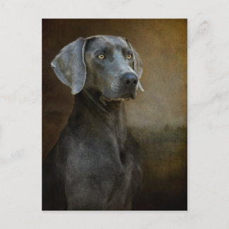 ルネッサンスブルーポストカード ポストカード