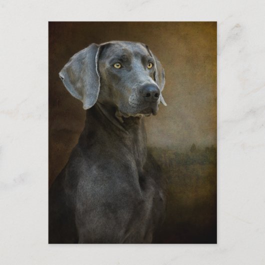 ルネッサンスブルーポストカード ポストカード (正面)