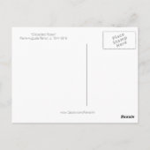 ルノアール捨てバラ ポストカード (裏面)