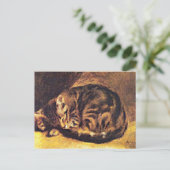 ルノアール：眠れる猫 ポストカード (スタンド正面)