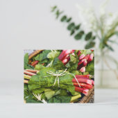 ルバーブのバンチのバスケットのクローズアップ ポストカード (スタンド正面)