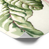 ルバーブチャード1992 ポスター (角)