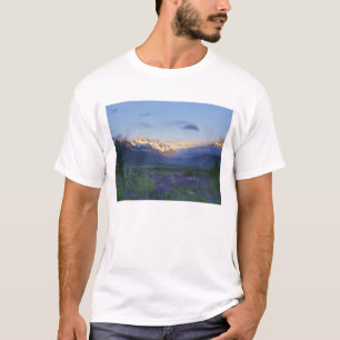 ルパインとメイン・ディバイド、アルサーズ・パス、南 Tシャツ