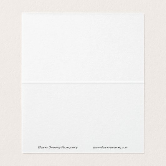 ルパインズの鹿 (内部フラット)