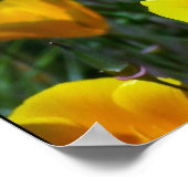 ルパンとケシの子復活！プリント ポスター (角)