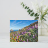 ルパンとペイントブラシの野花 ポストカード (スタンド正面)