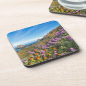 ルパンとペントブラシの山の花 コースター (左側)