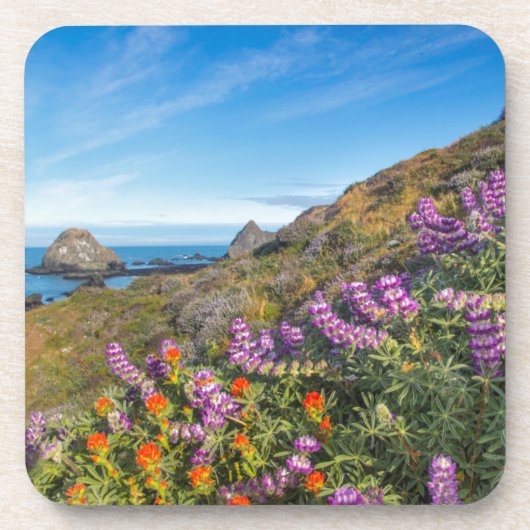 ルパンとペントブラシの山の花 コースター (正面)