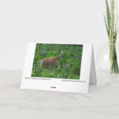 ルパンの中の鹿 カード (裏面)