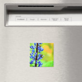 ルパンの写真を撮る マグネット (インサイチュ (食洗機))