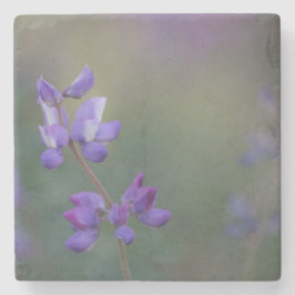 ルパンの分野 ストーンコースター