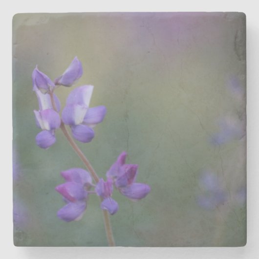 ルパンの分野 ストーンコースター (正面)