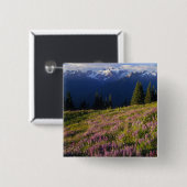 ルパンの原野、オリンパス山、雲 缶バッジ (正面&裏面)