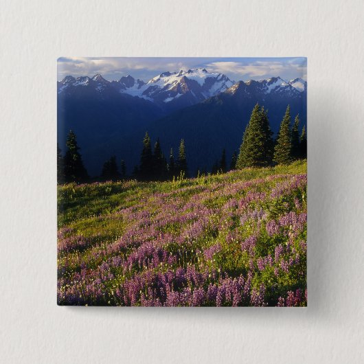 ルパンの原野、オリンパス山、雲 缶バッジ (正面)