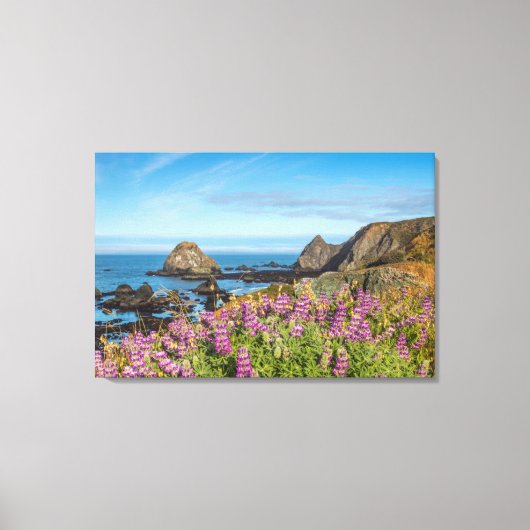 ルパンの花が丘を覆う キャンバスプリント (正面)