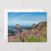 ルパンの花が丘を覆う ポストカード (正面/裏面)