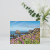 ルパンの花が丘を覆う ポストカード (スタンド正面)